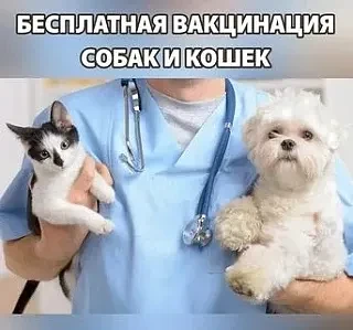 ПРОФИЛАКТИЧЕСКАЯ ИММУНИЗАЦИЯ ЖИВОТНЫХ ОТ БЕШЕНСТВА  БЕСПЛАТНО
В целях недопущения возникновения и ра