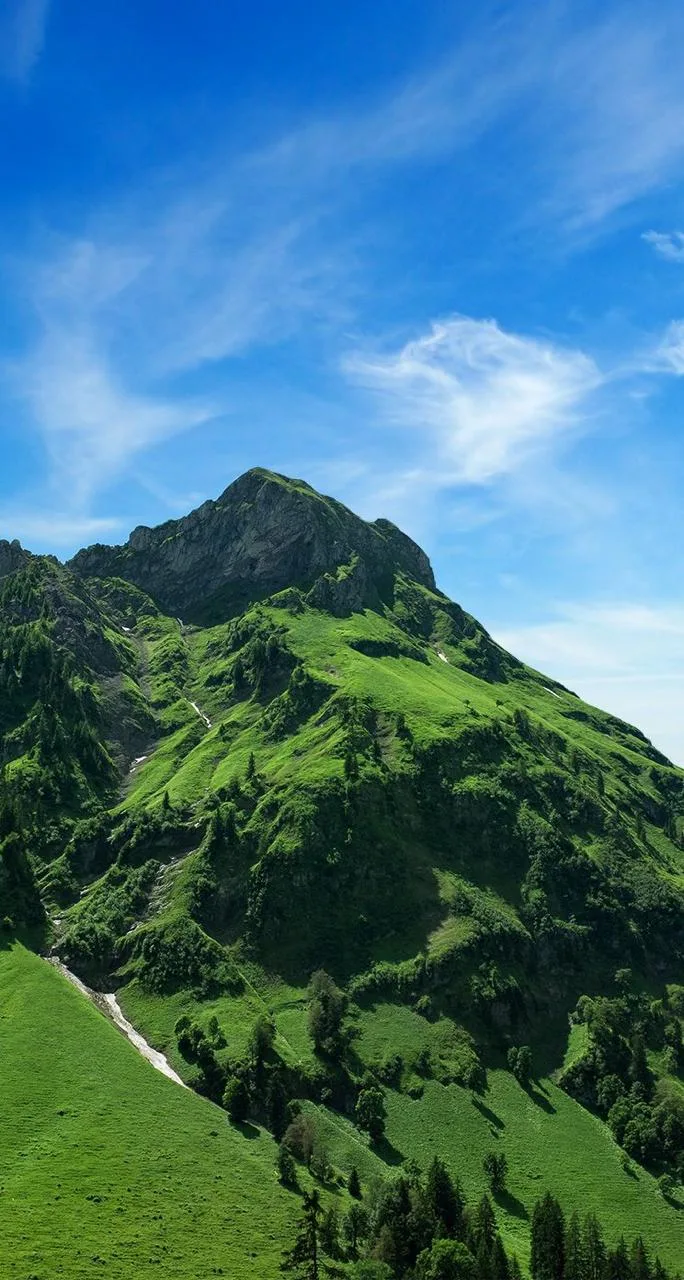 Вы стоите на плечах гигантов. Не бойтесь высоты. 🏔