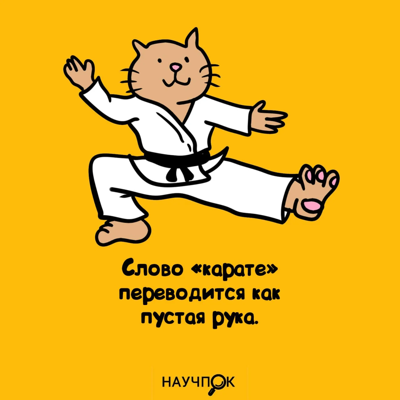 Научпок | Подписаться