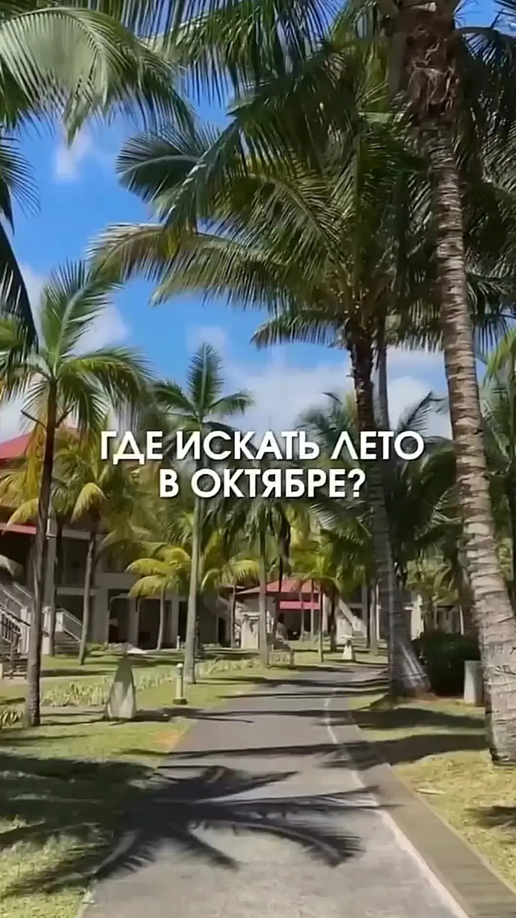 Видео: https://vk.ru/clip-59717399_456240993