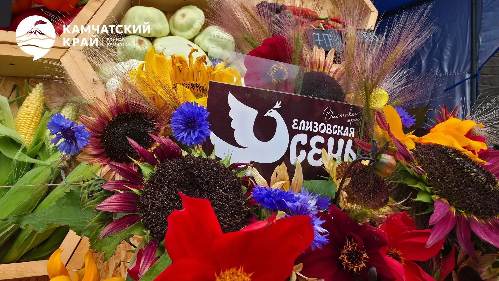 Главное сельскохозяйственное событие Камчатки открыло свои двери