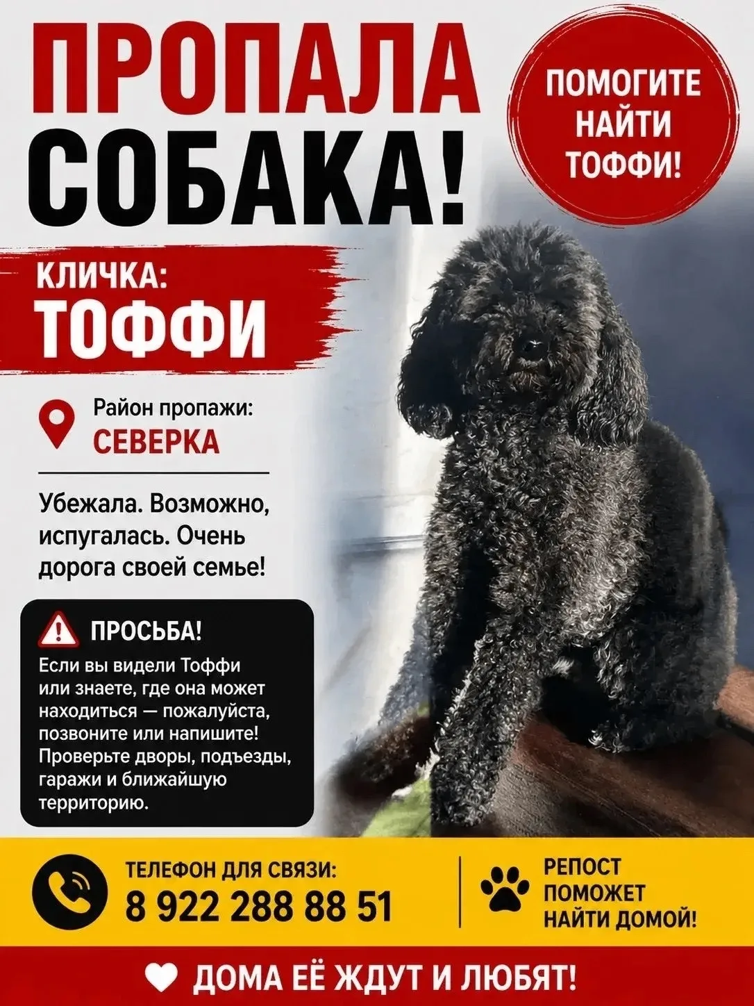 Нужна помощь!  Потерялась собака!