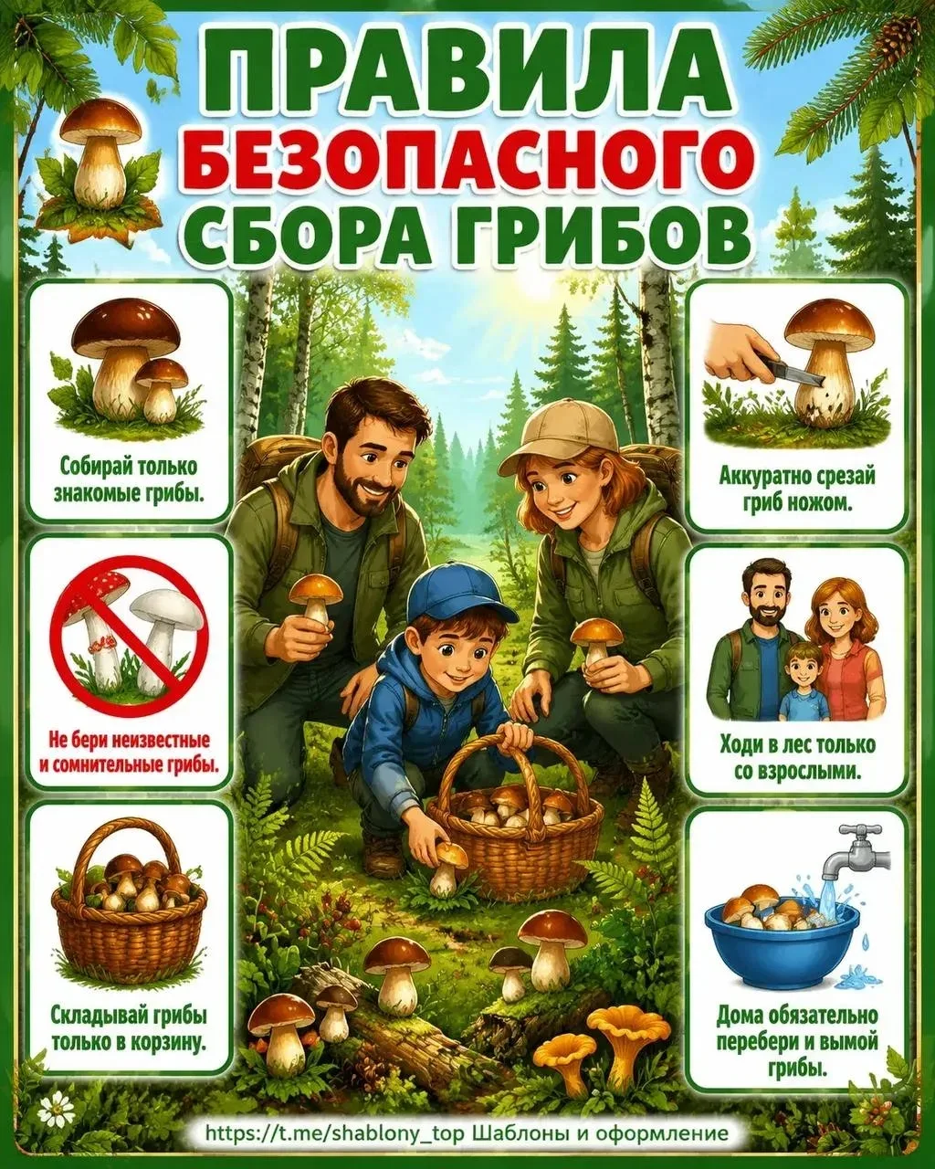 Безопасный сбор грибов и ягод в лесу