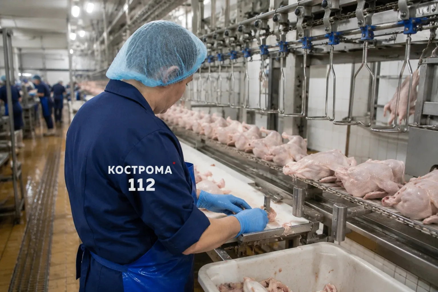 🏭 В Кологривском районе работнице птицефабрики выплатят 150 тысяч рублей за производст...