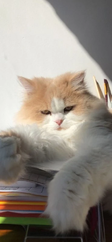 Ставь ❤️ если нравится