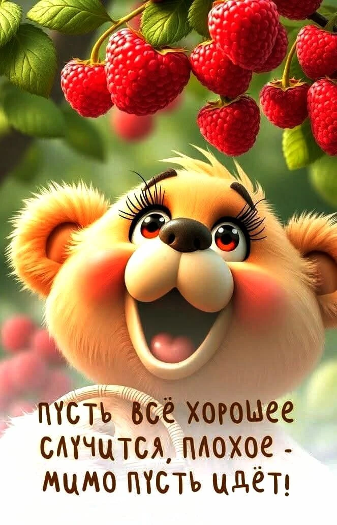 МИР ПОЗИТИВА 🤩 ОТКРЫТКИ!