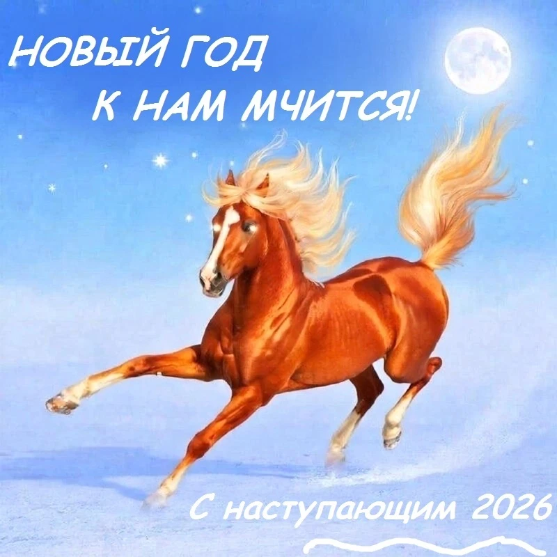 🎇 Дорогие родители!
