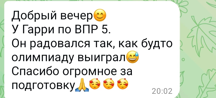 Завершилась волна ВПР. В этом году по истории она выпала во всех классах. Ребята справи...