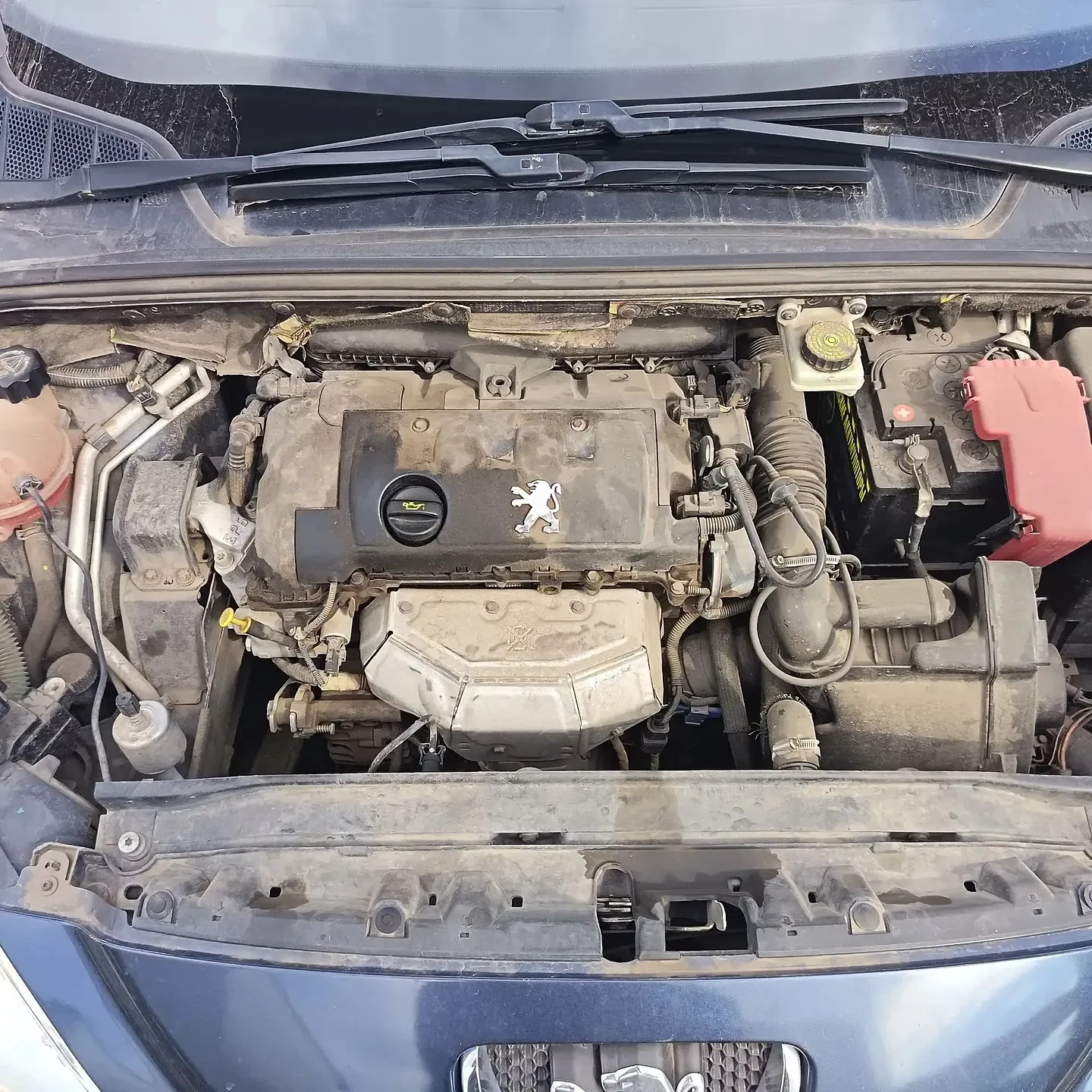 Peugeot 308, 2008