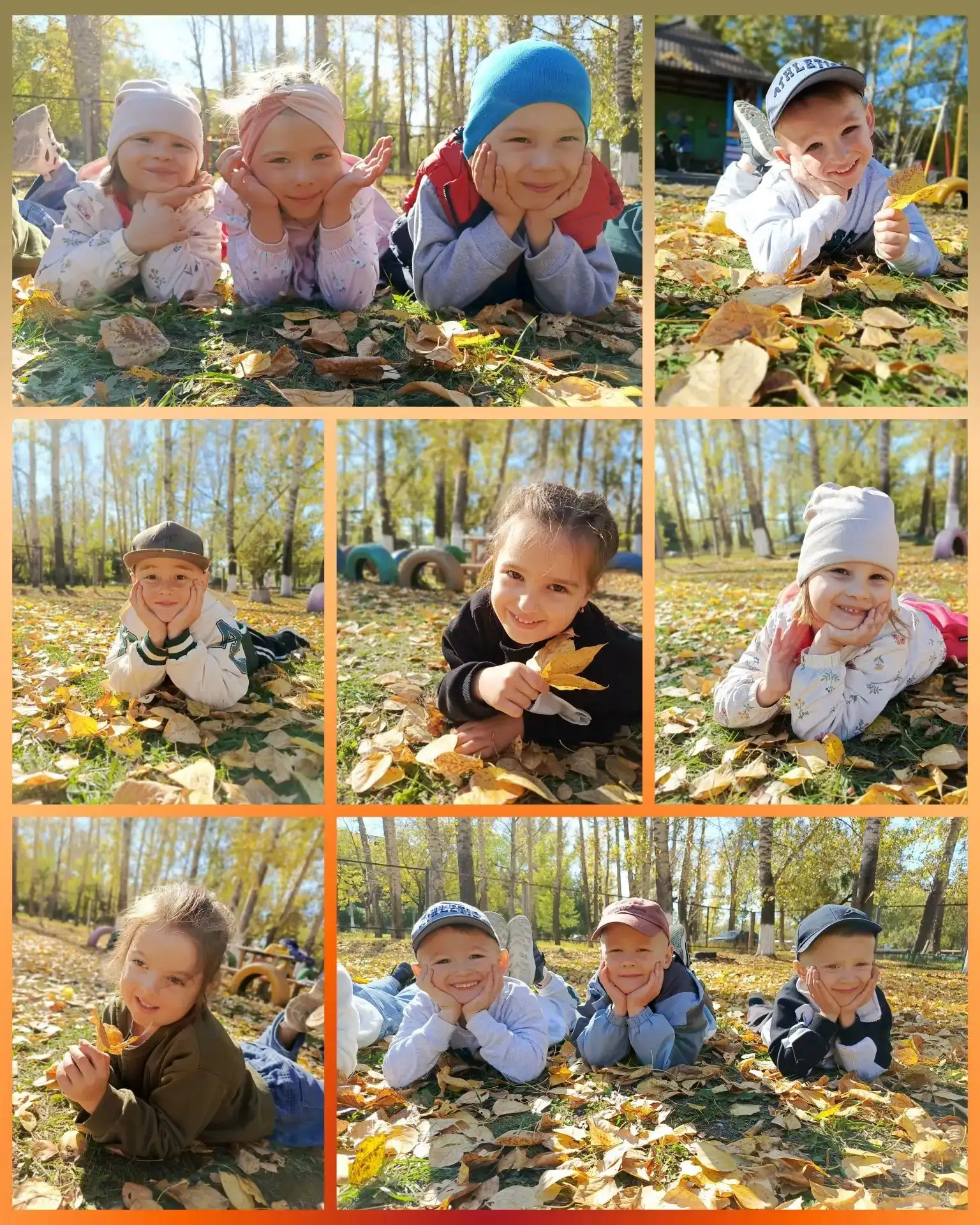 Золотая осень под лучами солнца🍁🍁🍁