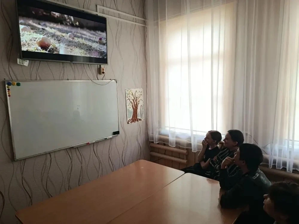 15.04.2026 года на базе ОГБУ УСЗСОН по Балаганскому муниципальному округу специалистами отдела опеки
