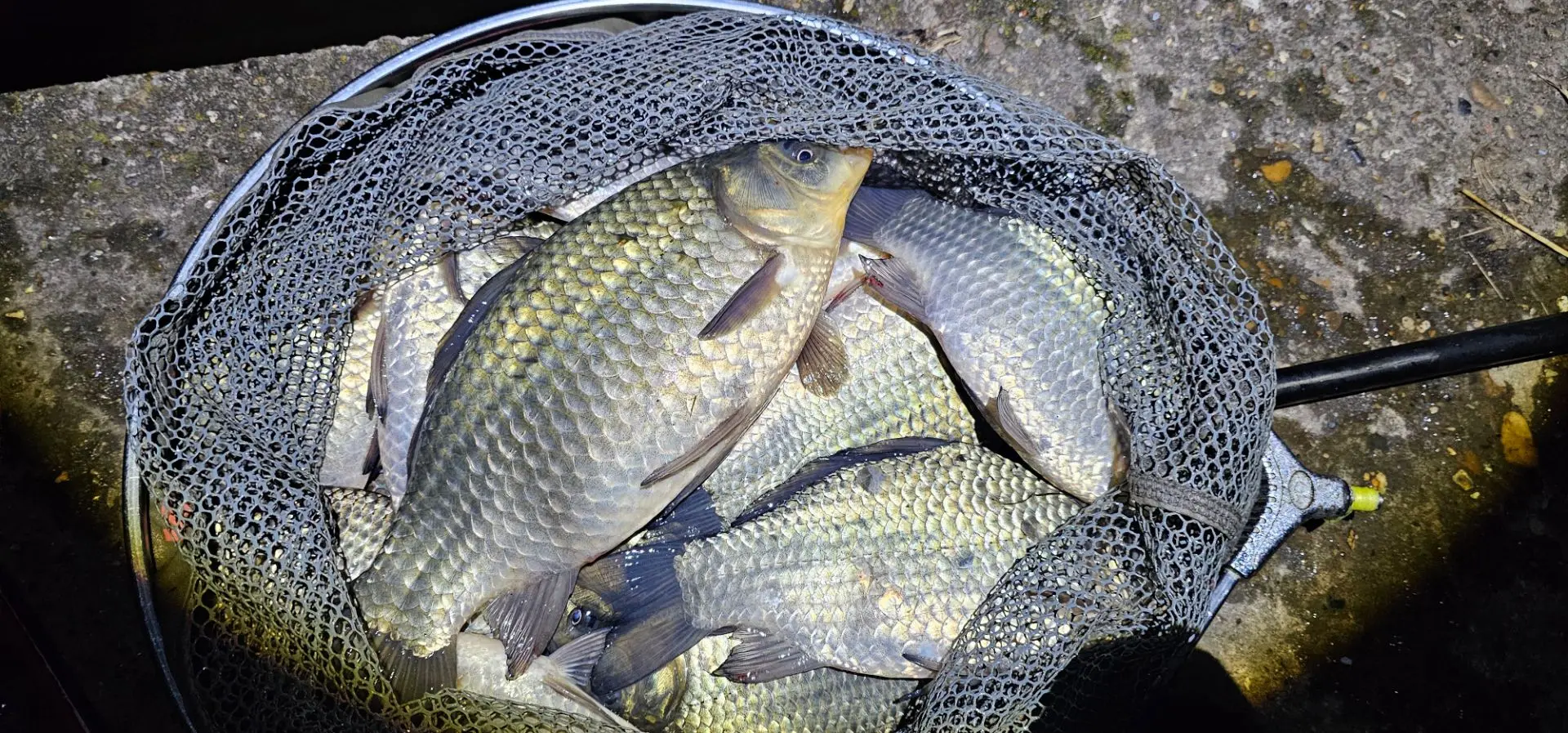 Как-то так 🎣