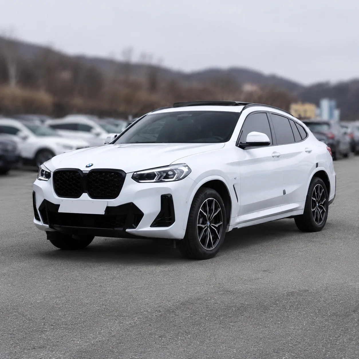 BMW X4 2022