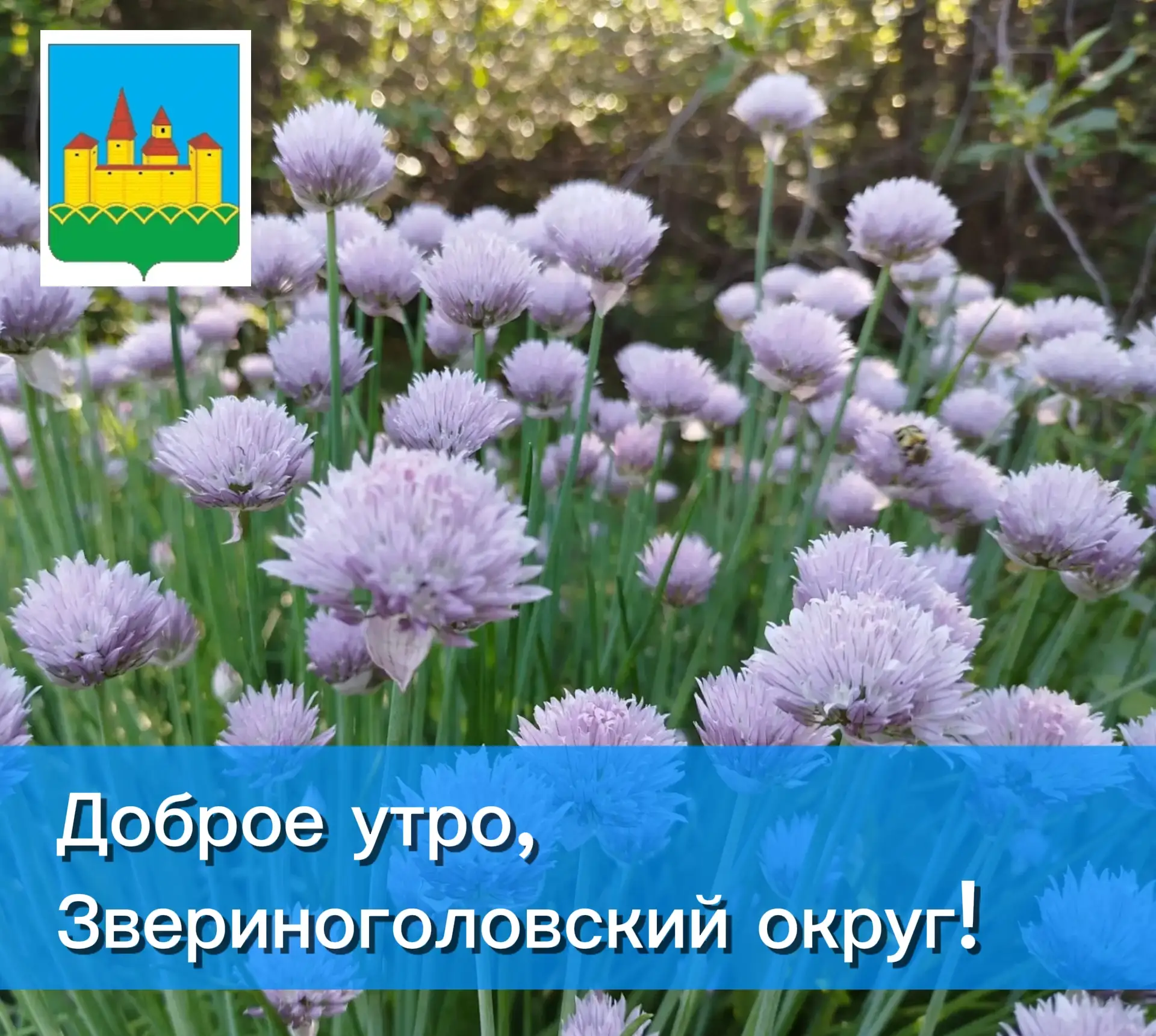 ✴️ ✨ Доброе утро! Пусть день начнется с улыбки и принесет только приятные сюрпризы. Хор...