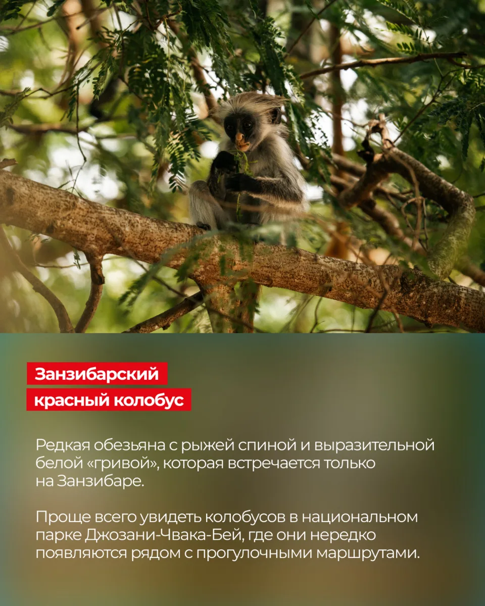 Осторожно! Эти изображения вызывают внезапное чувство восторга 😍