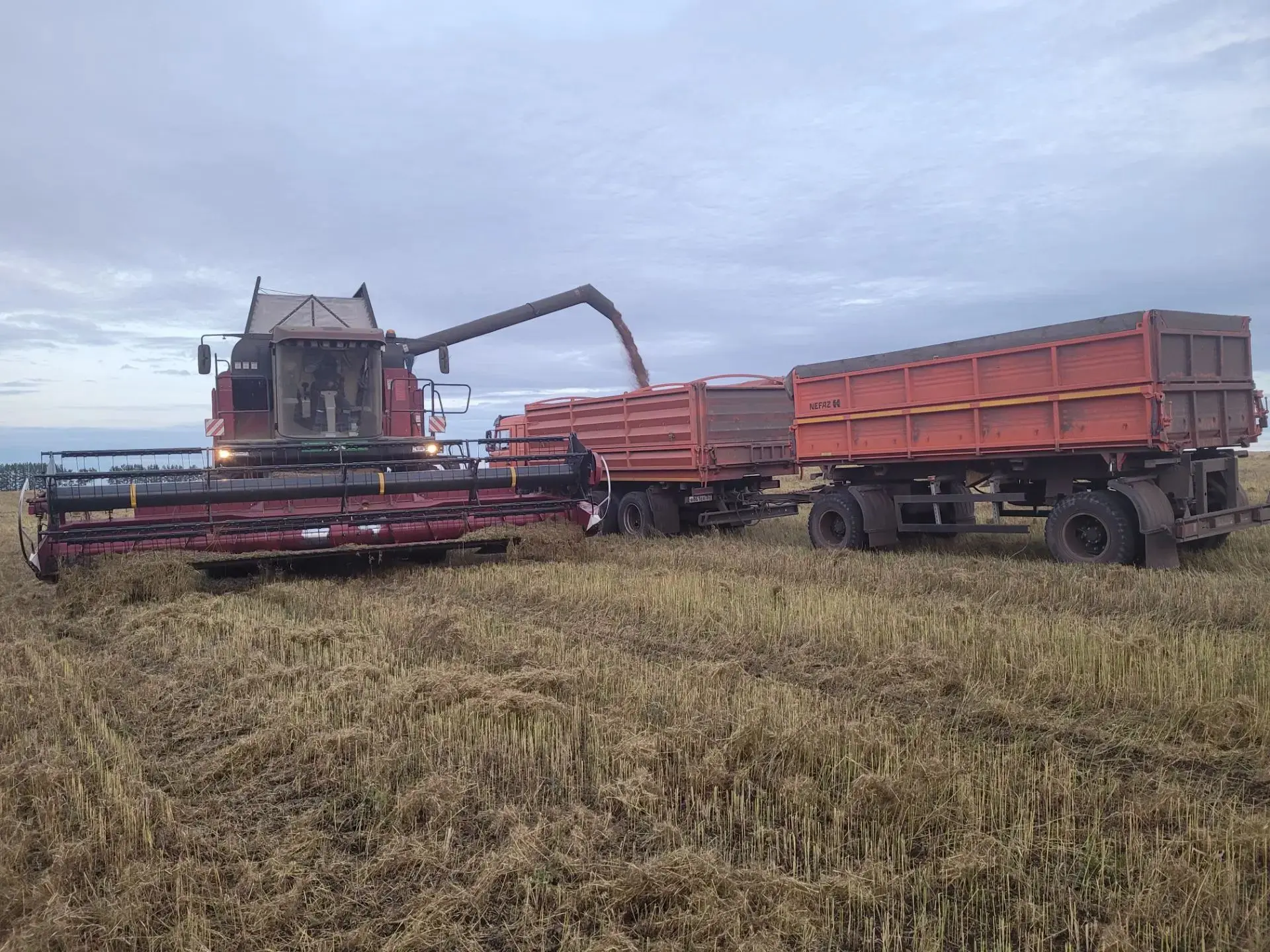 🌾Хозяйства Мечетлинского района к 2 октября обмолотили 16,7 тысяч гектаров зерновых и ...