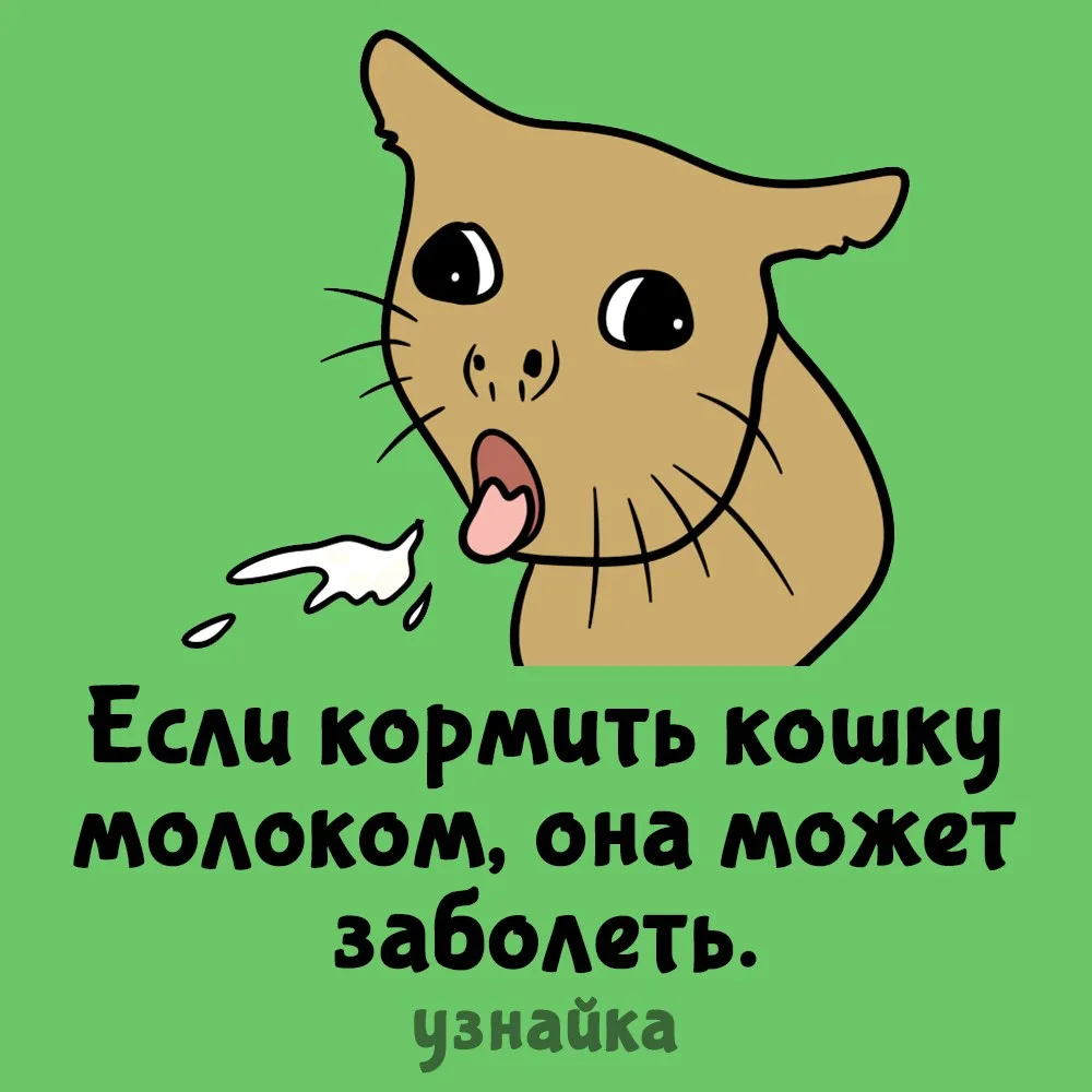У них тоже есть непереносимость лактозы😳
Узнайка