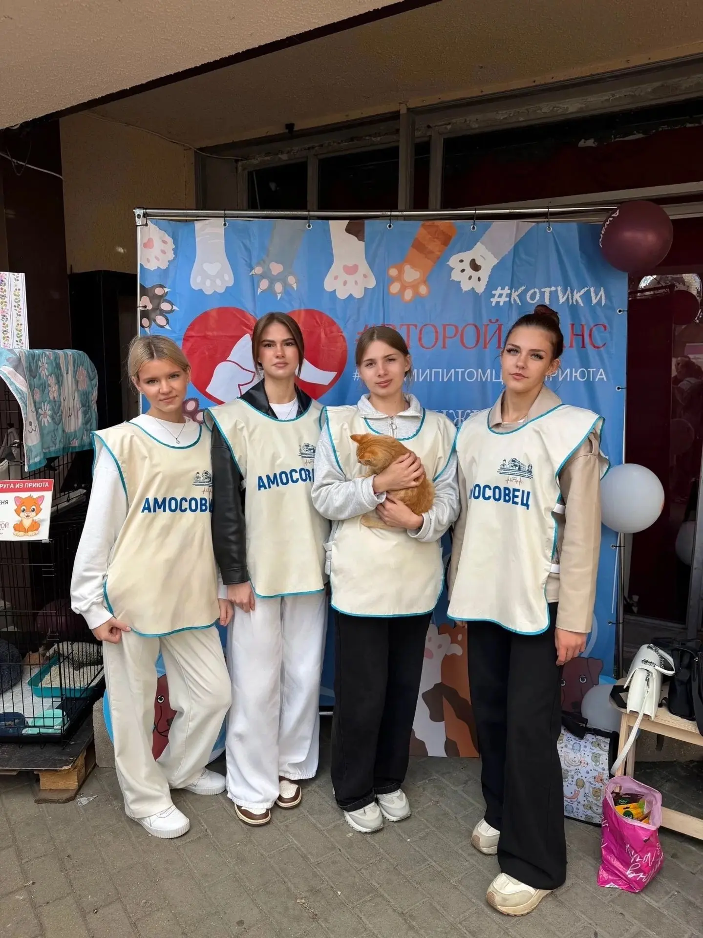 Творим добро вместе: «Амосовец» на Happy Cat Festival 🐱❤️