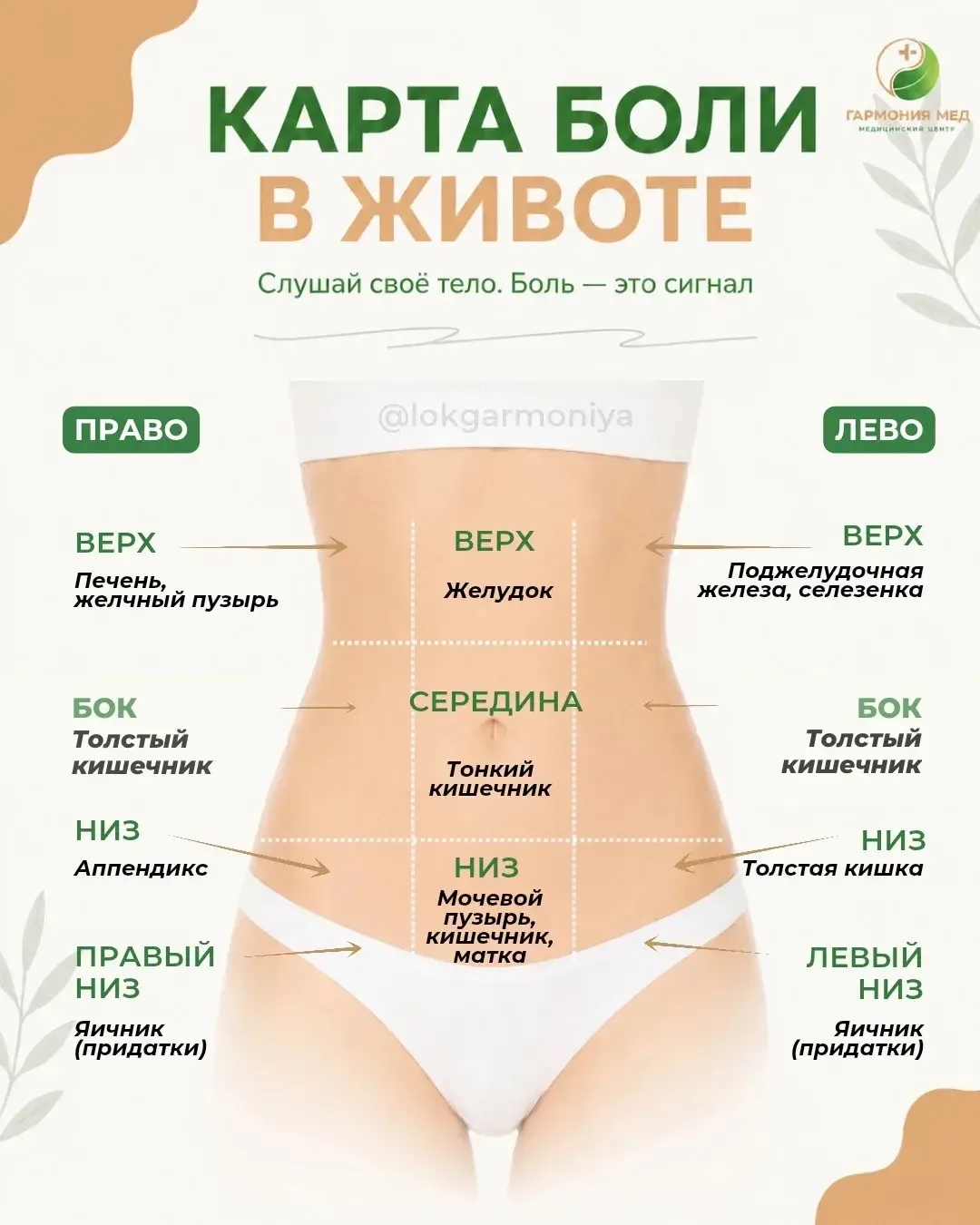 Кольнуло где-то в боку - и сразу паника, гугл, страшные диагнозы? Знакомо? 🙈

На самом деле угадать