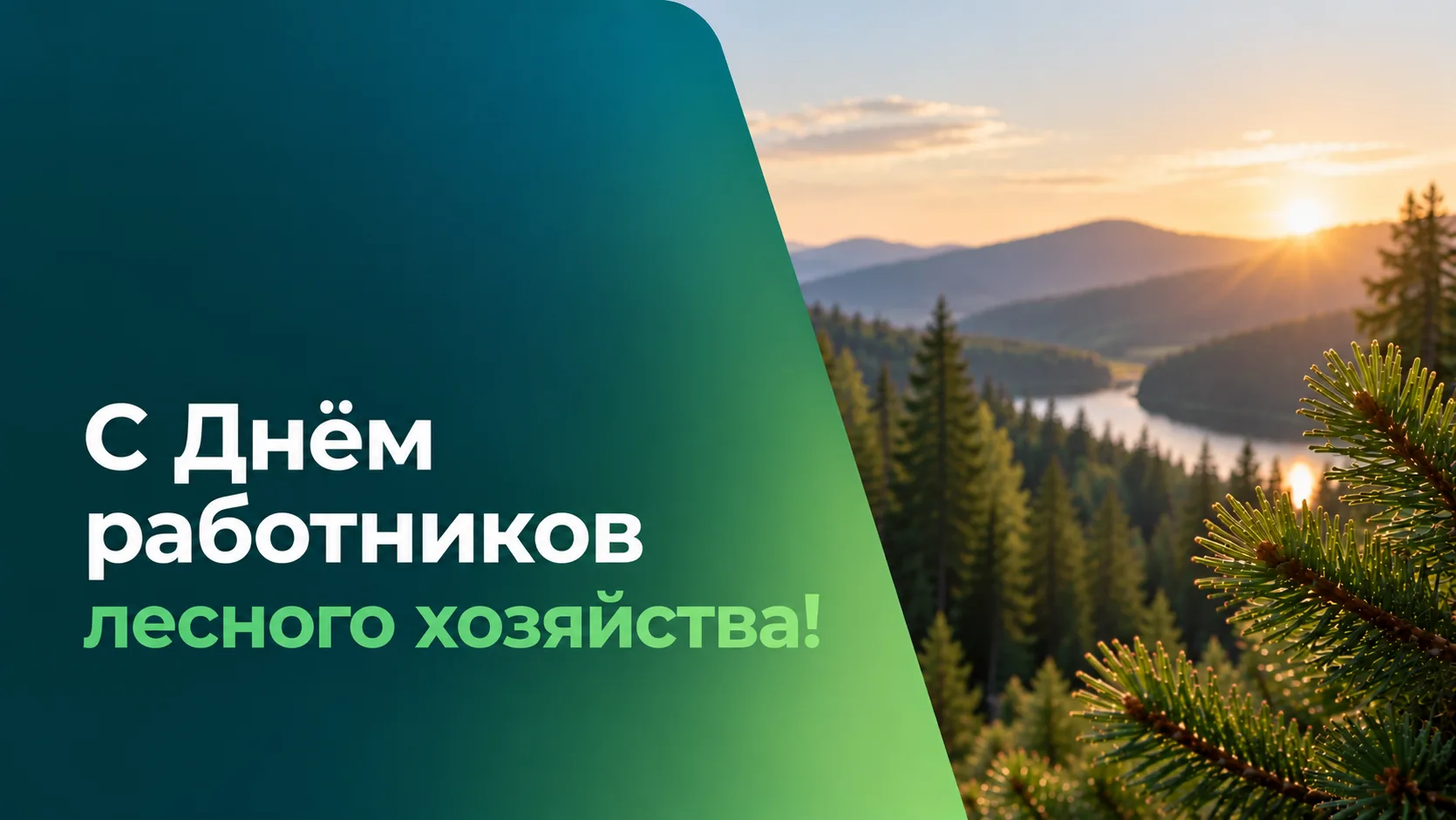 Накануне Дня работников леса: награды профессионалам и руководители-старожилы
