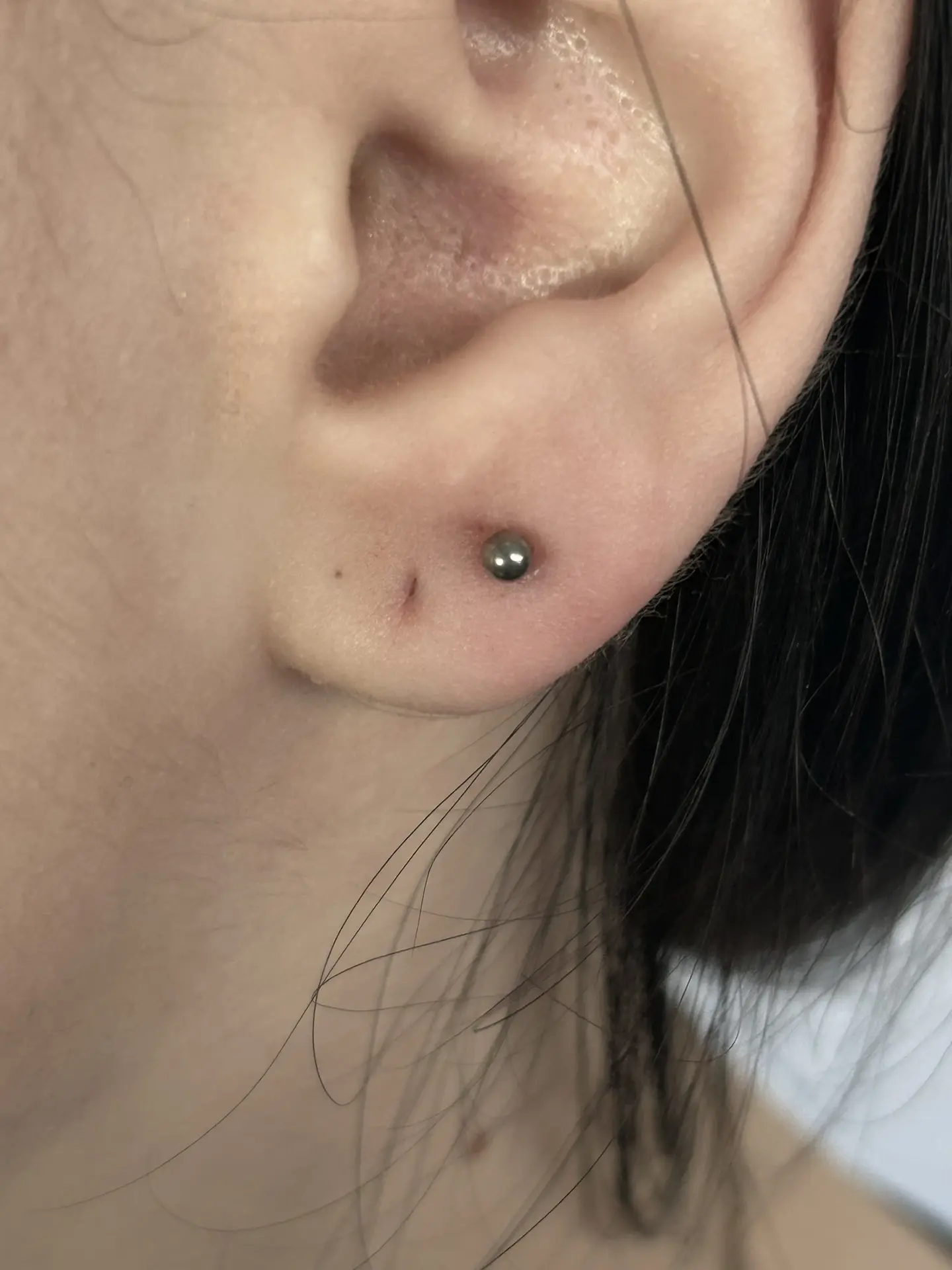 Прокол мочки уха 
89852579688
• ТГ @tattooday24
• ВК https://vk.ru/tattooday_tattoostudio
• 🌍 tatto