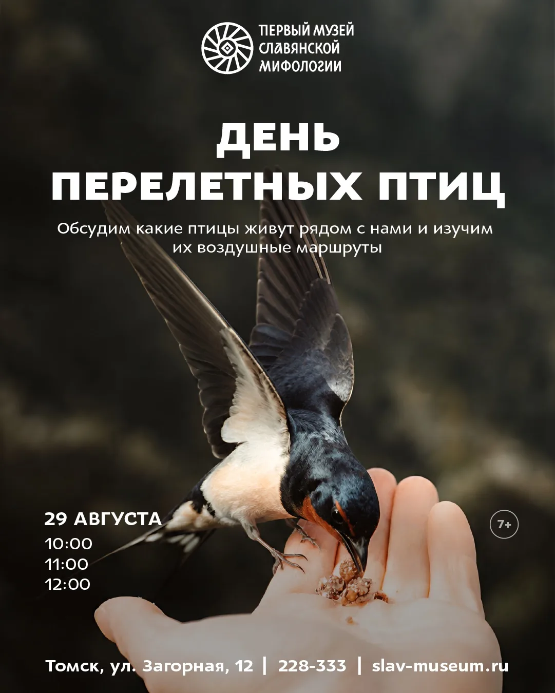 Встреча с пернатыми соседями🕊️