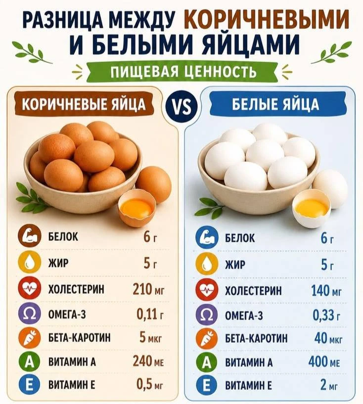 Разница между коричневыми и белыми яйцами.