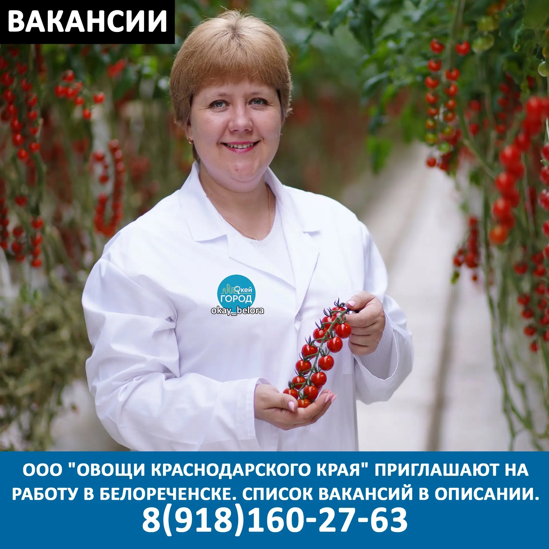 Вакансии! ООО "Овощи Краснодарского края" требуются на постоянную работу: