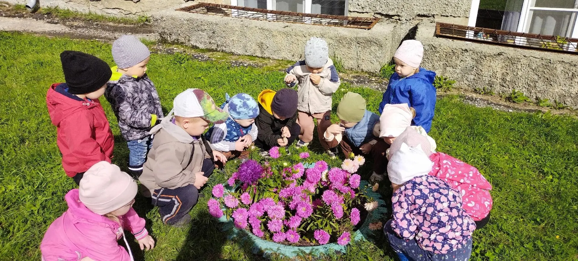 🌺«В гостях у цветочной клумбы» 🌺