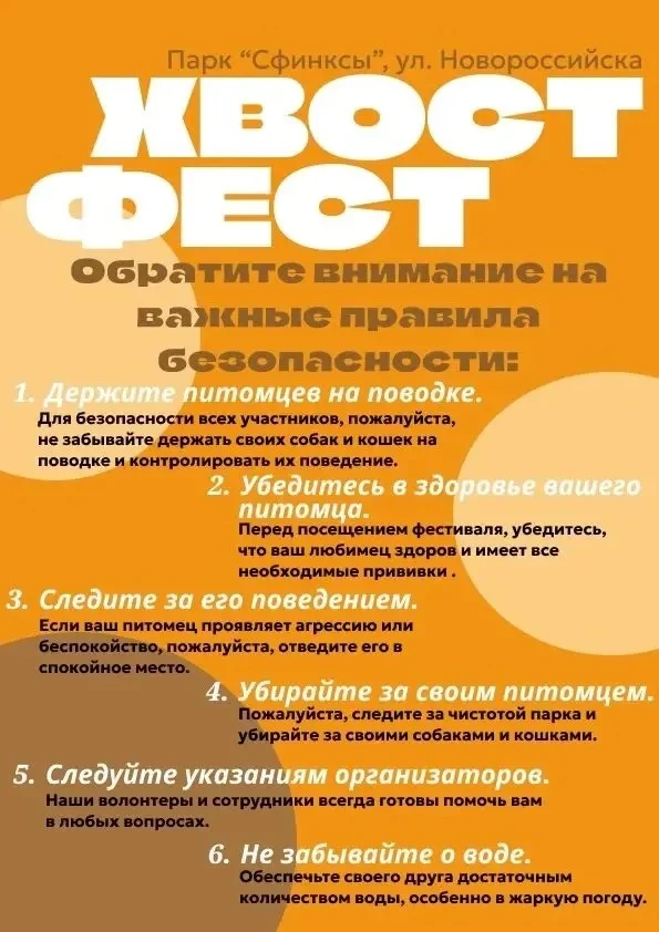Как защитить 🐶 питомца от жары: памятка для ответственных хозяев-гостей нашего фестиваля "Хвост Фес
