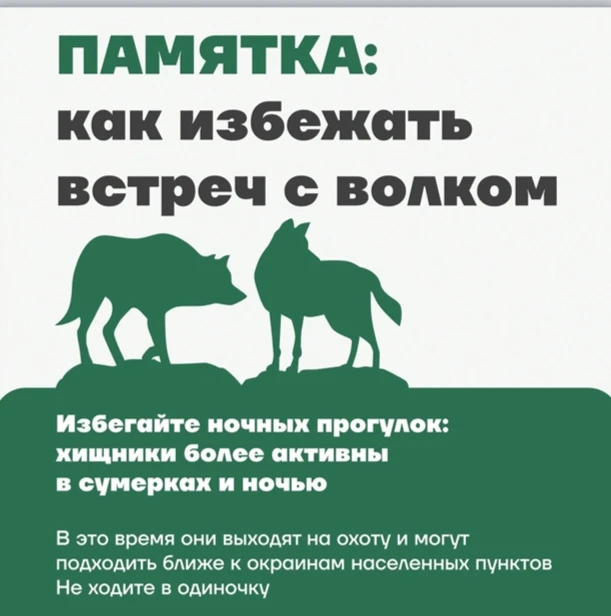 Мы все любим лес, но нужно помнить: лес, окружающий населенные пункты, – это естественн...