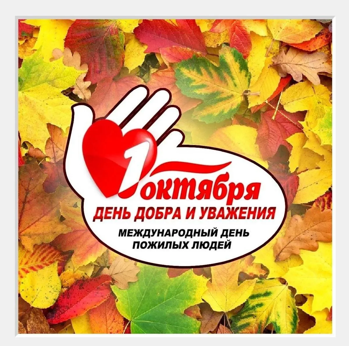 "ДЕНЬ ДОБРА И УВАЖЕНИЯ".