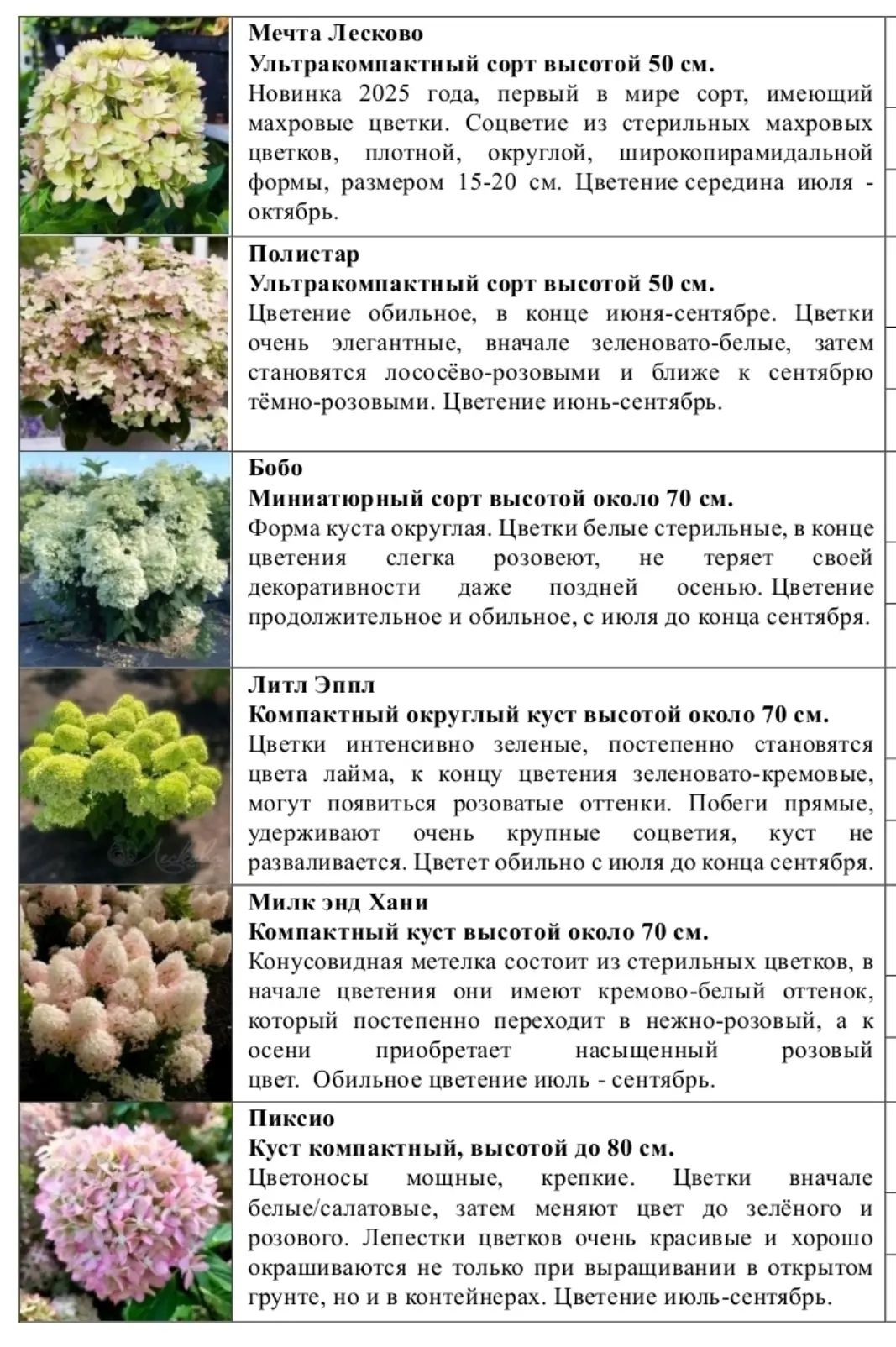 Мы все мечтаем о саде, наполненном растениями, цветущими весь сезон, чтоб росли сами бе...