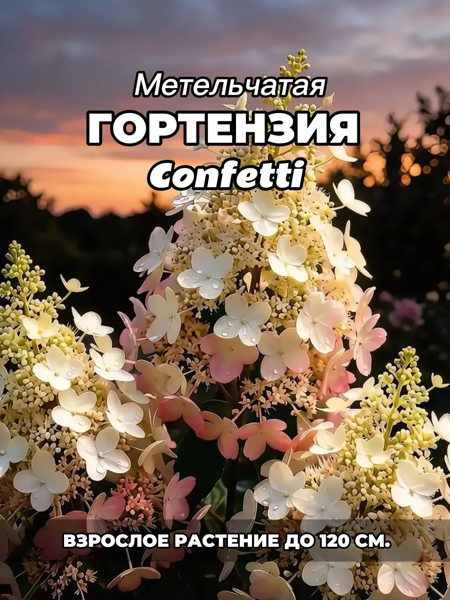 Они такие маленькие, что поместятся даже на вашем балконе! 😱