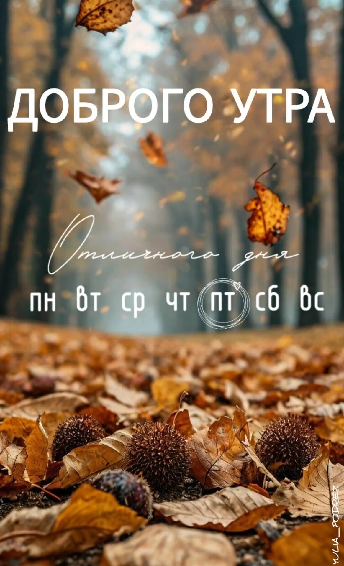 Доброе утро ☀️