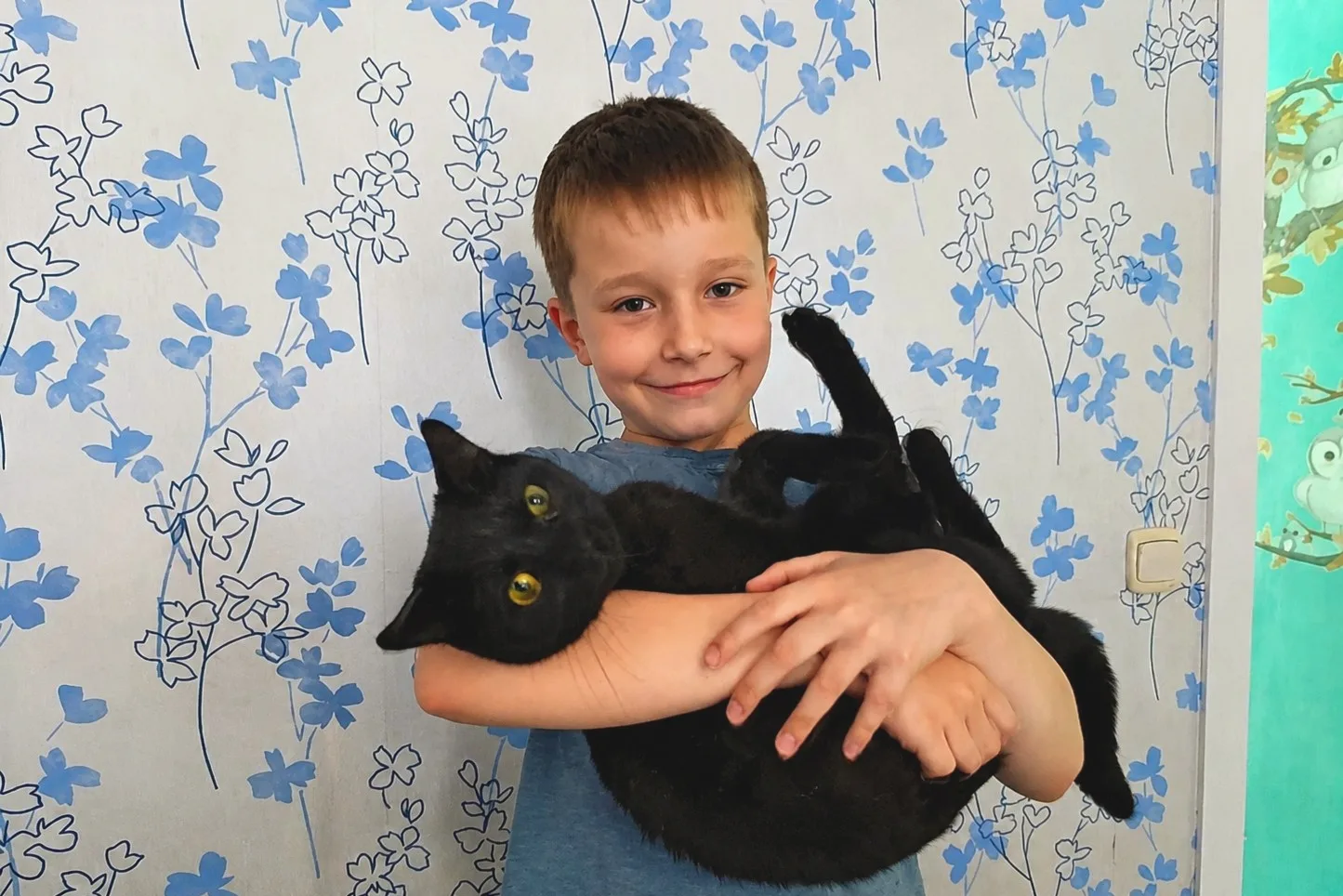 Поел, погулял, пришло время носить кота😅