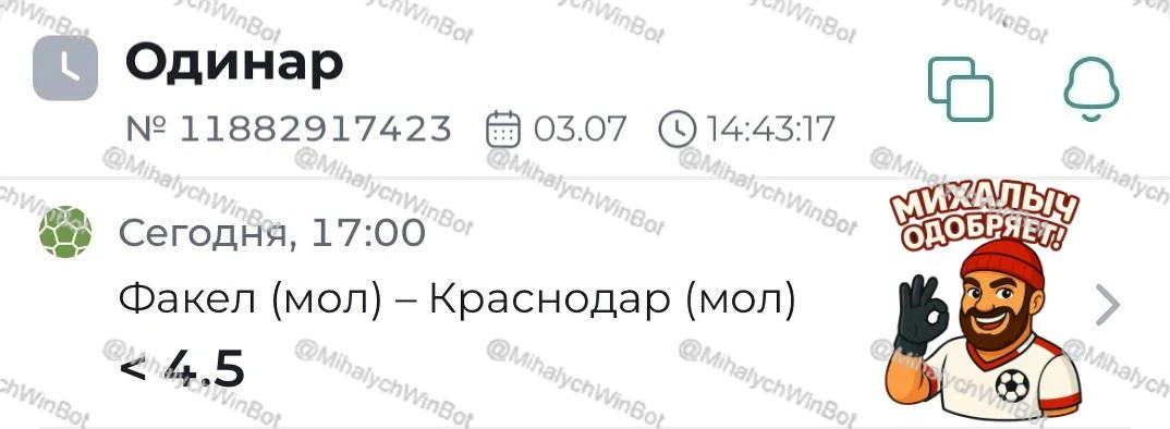 Факел (мол) — Краснодар (мол). Молодёжная лига России. Прогноз: тотал матча меньше (4.5)