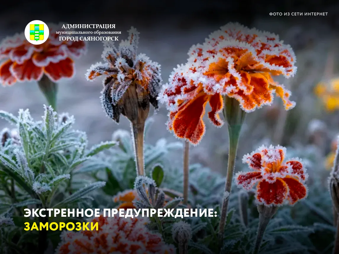 Экстренное предупреждение