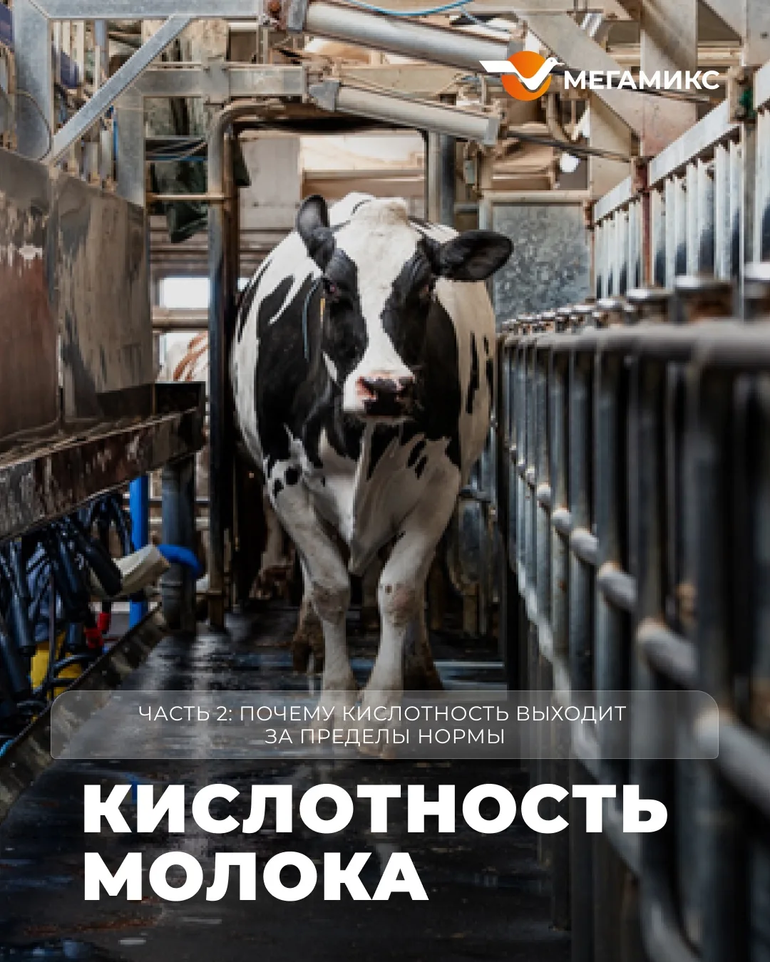 🥛 КИСЛОТНОСТЬ МОЛОКА | Часть 2: почему кислотность выходит за пределы нормы