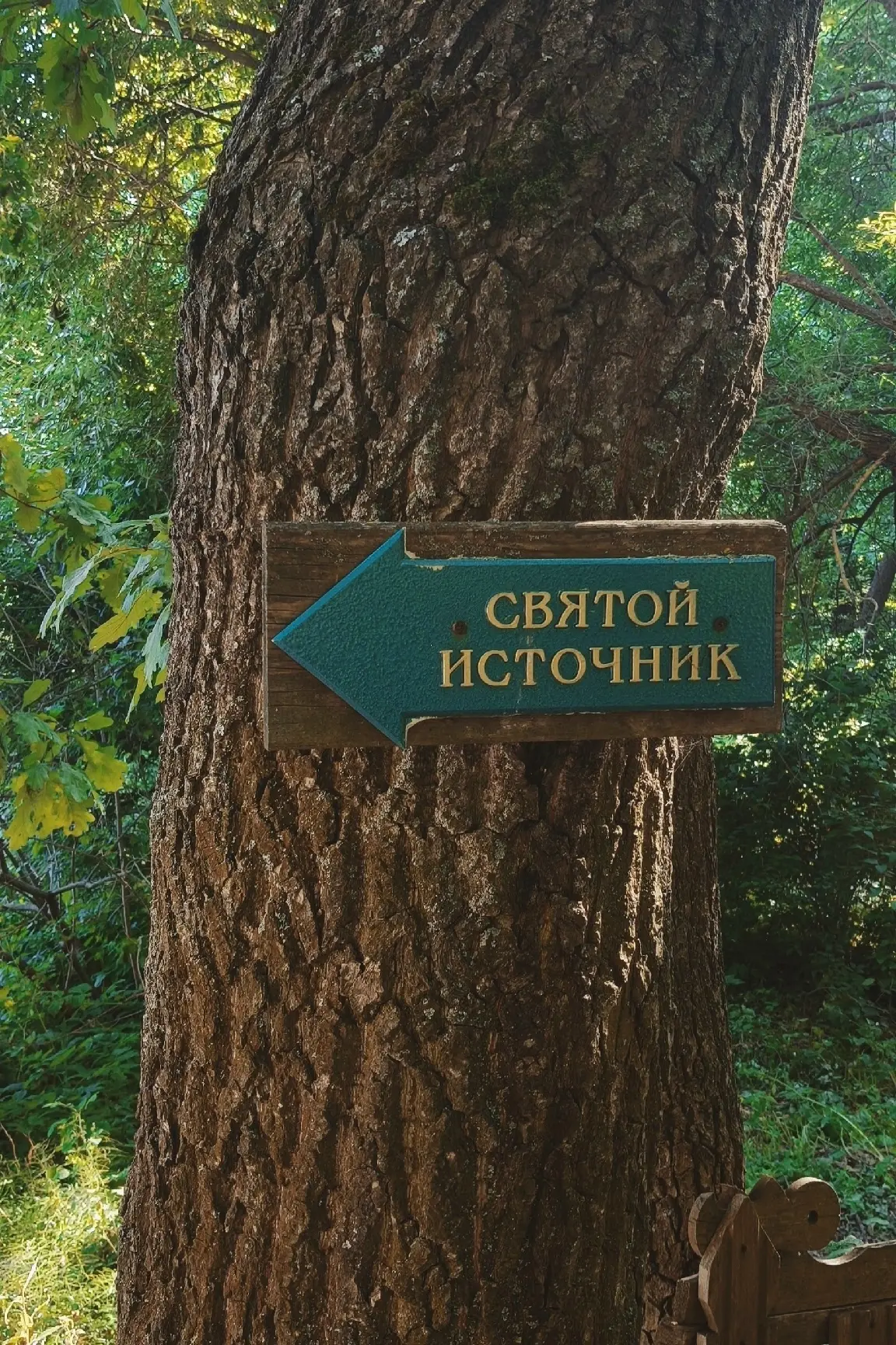 ✨ Пощупово. Место силы, куда хочется возвращаться 

📸Маша Праздник

📍 Рязань
👉 Подписаться
🔥 Ряз