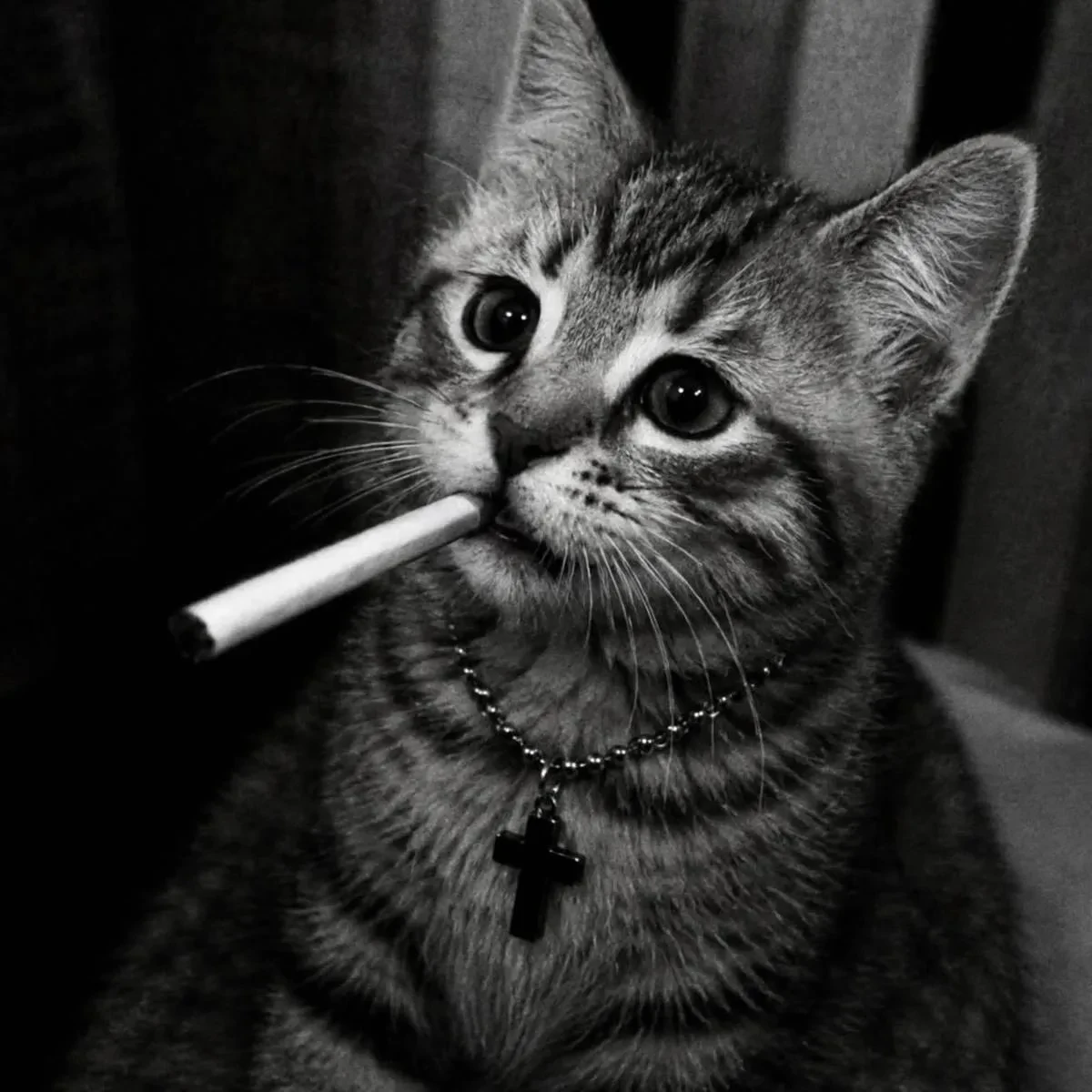 🚭 Регионам могут дать право ограничивать продажу сигарет рядом с учебными заведениями

По данным Ми