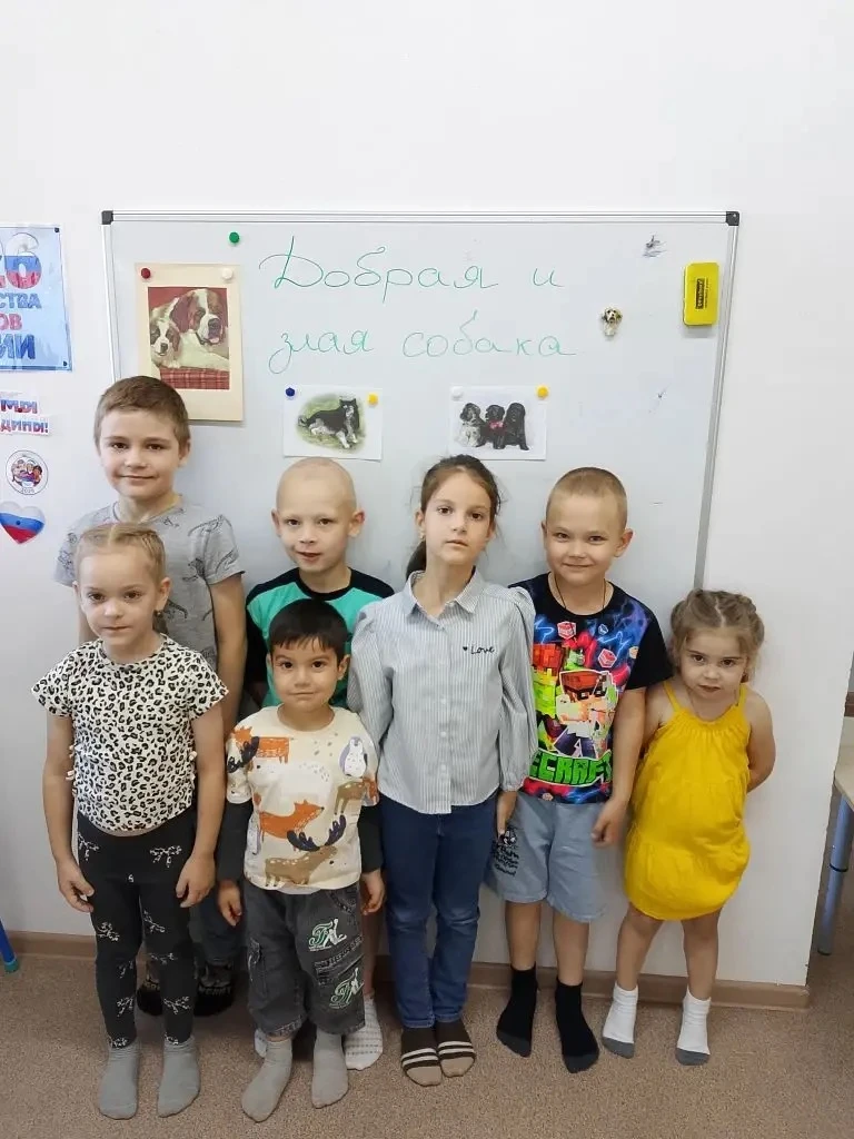 🐶Собаки-наши друзья. Они всегда преданы  о них. Однако, бездомные собаки могут укусить...