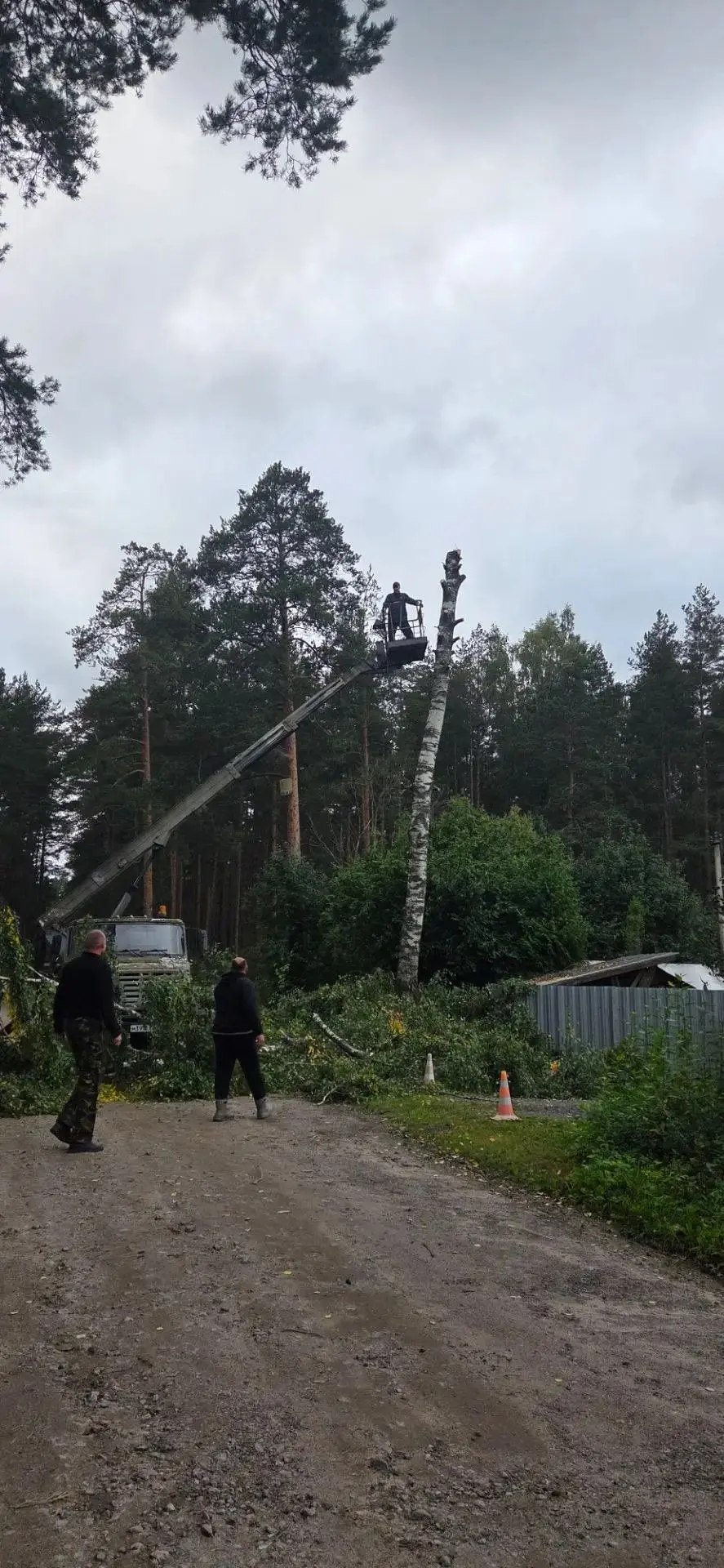 Вчера начали спил деревьев🌲 напротив правления. Готовим пространство для работы электр...