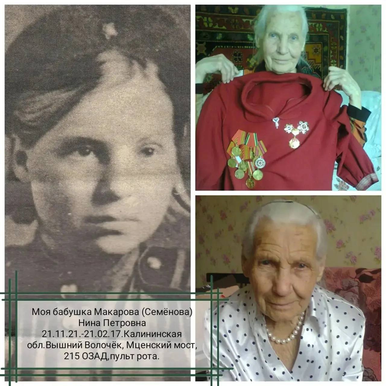 Нина Петровна Макарова: сбить самолет не пришлось, а так хотелось. Историю бабушки зени...