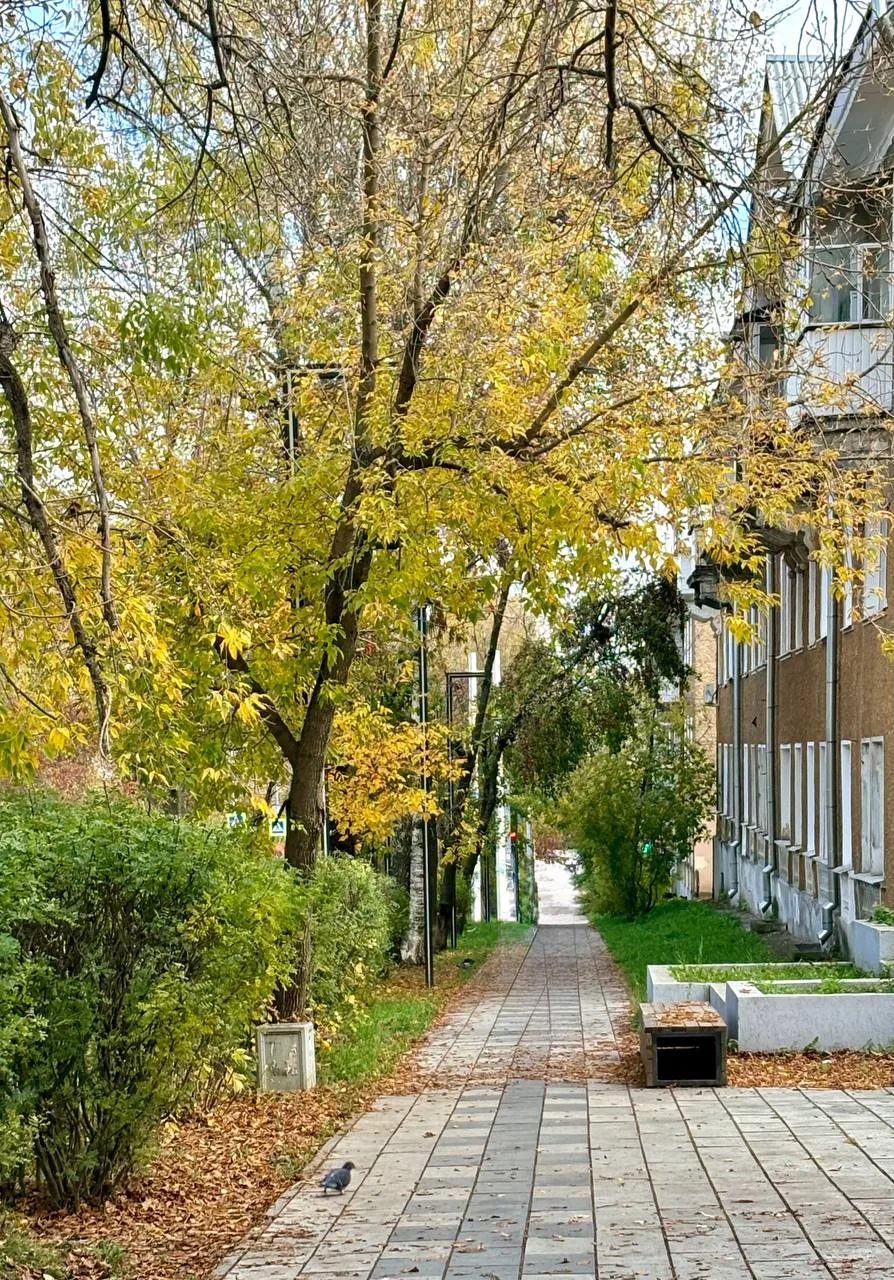 В Ревде потеплеет до +6 °С