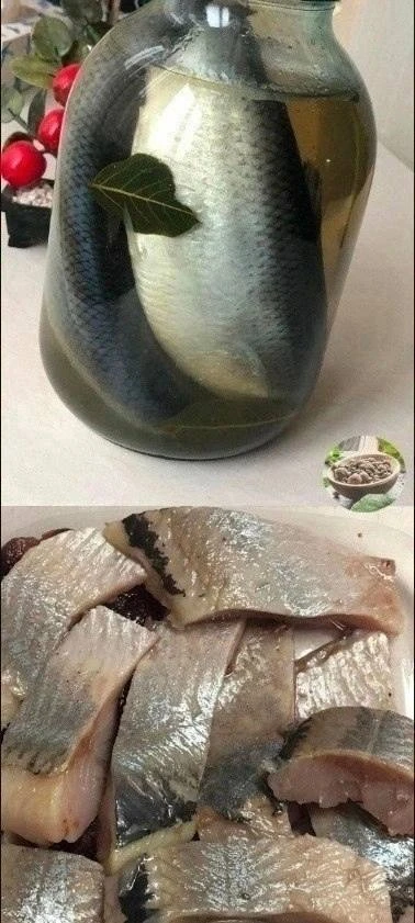 СЕЛЁДКА В БАНКЕ