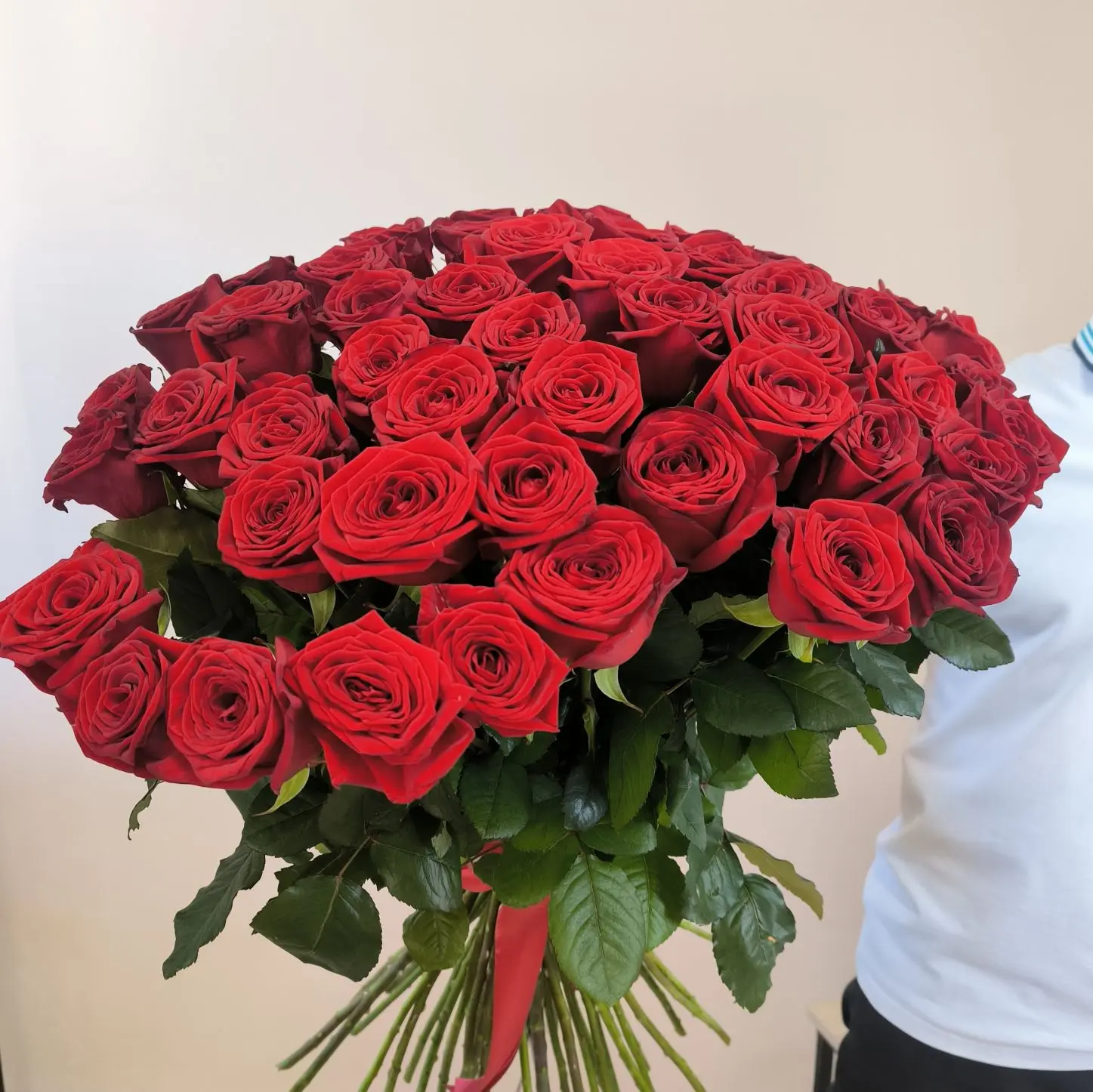 Классические красные розы - самый проверенный вариант для подарка. Бордовые бархатные л...