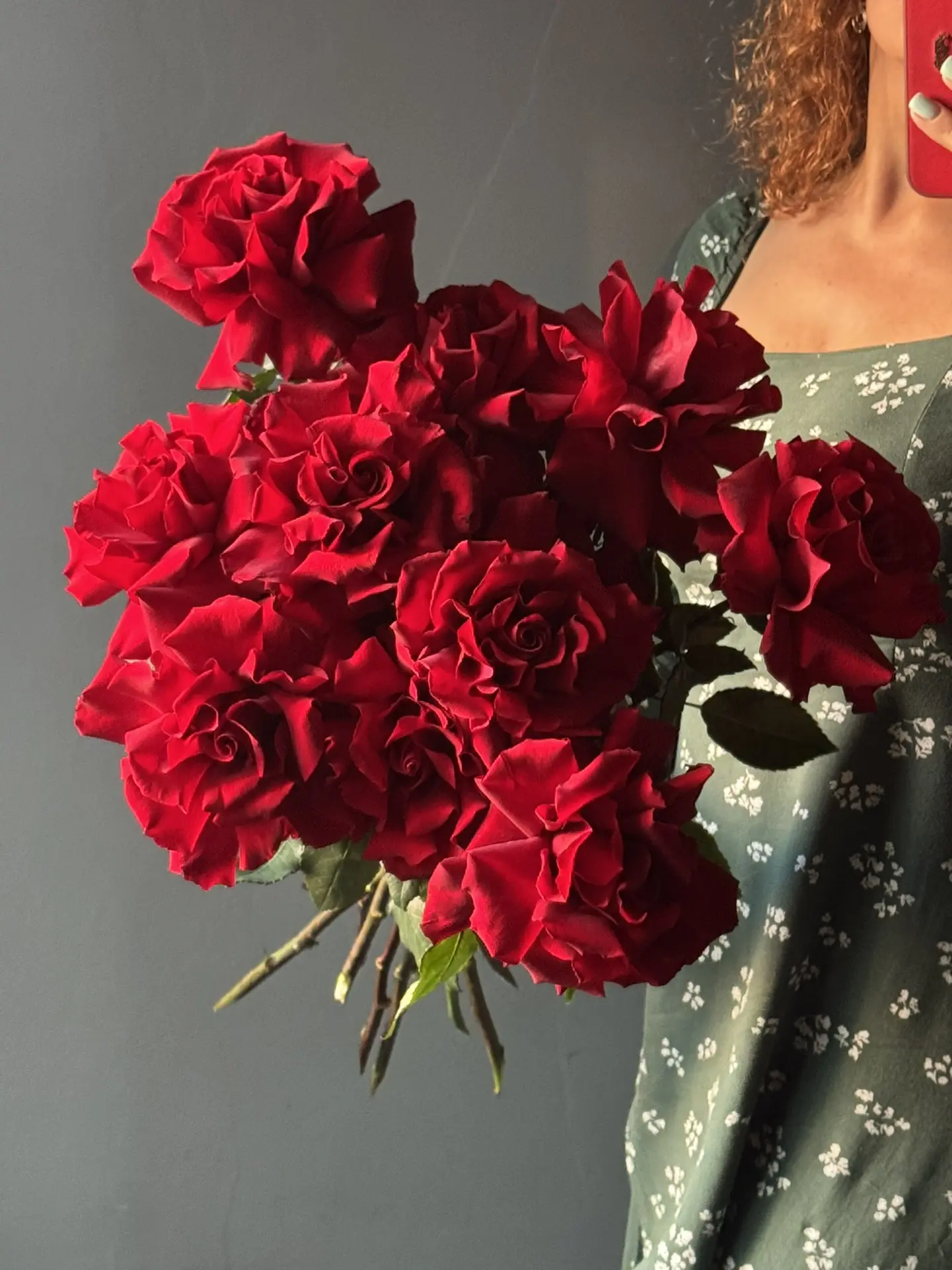 Французские розы прекрасно-великолепны 🥰