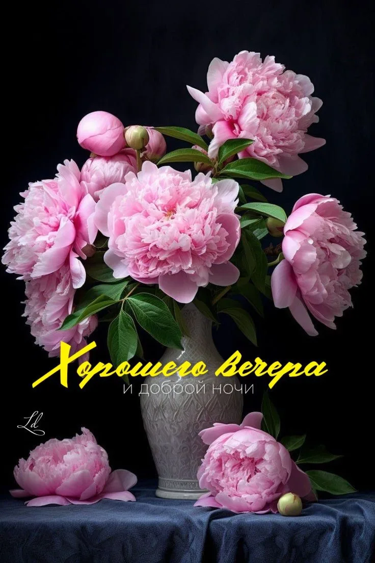 #хорошеговечера