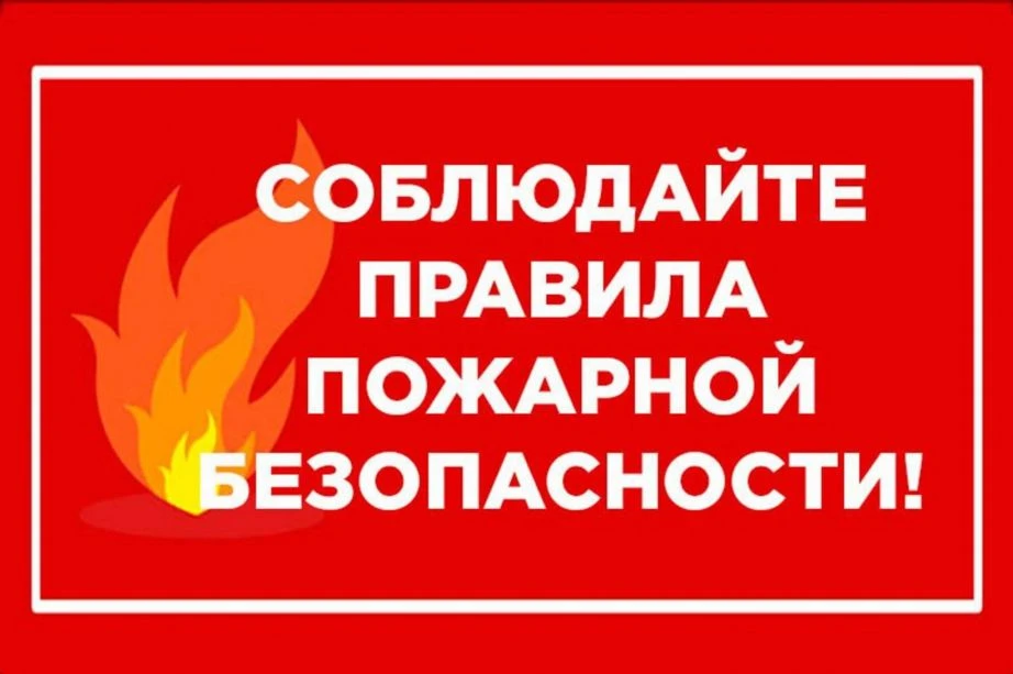 📢 Администрация Ульчского муниципального района напоминает, что распоряжением Правител...